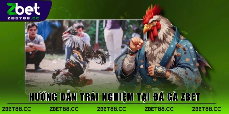 Hướng dẫn trải nghiệm tại Đá Gà Zbet