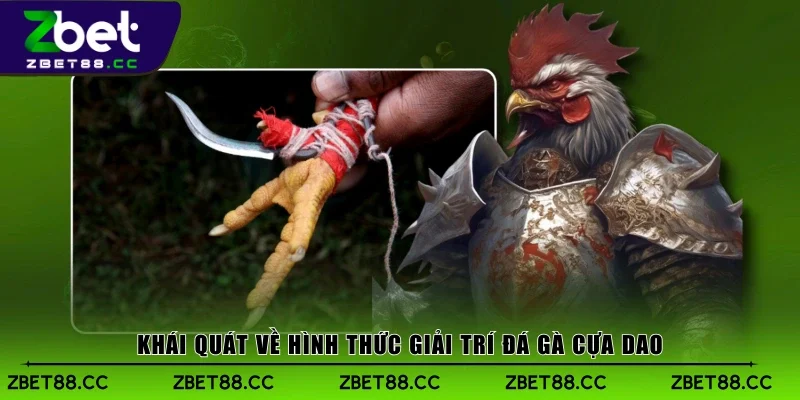 Khái quát về hình thức giải trí đá gà cựa dao