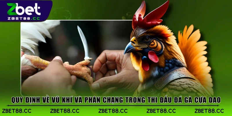 Quy định về vũ khí và phân chạng trong thi đấu đá gà cựa dao